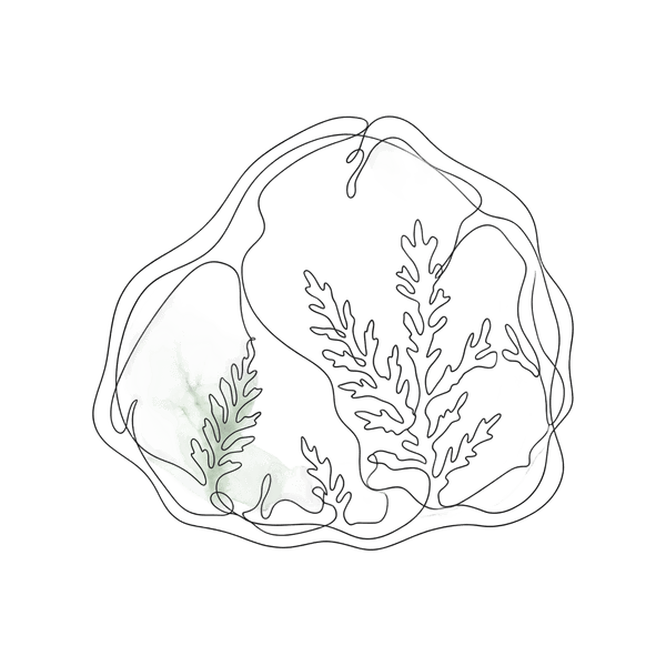 Moss Agate crystal illustration