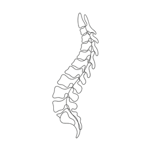 Backbone - Year in Review