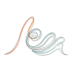 Tide - Year in Review