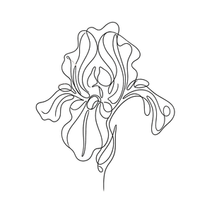 Pastel - Year in Review