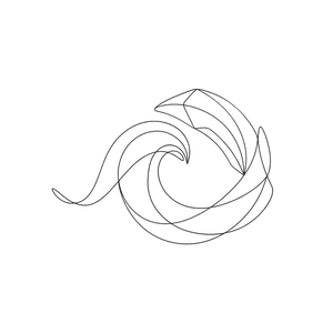 Shimmer - Year in Review