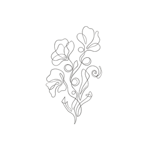 Delicacy - Year in Review