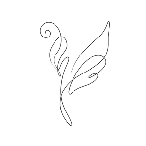 Renewal - Year in Review