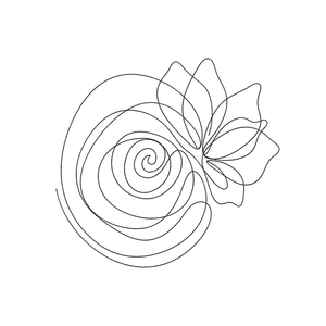 Rosette - Year in Review