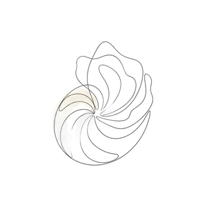 Sheen - Year in Review