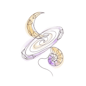 Stardust - Year in Review