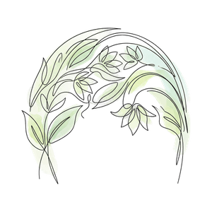 Canopy - Year in Review