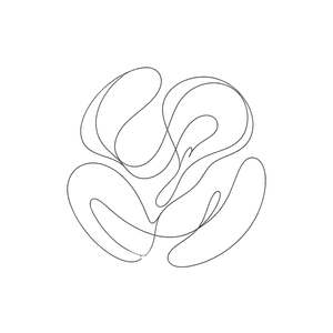 Comfort - Year in Review